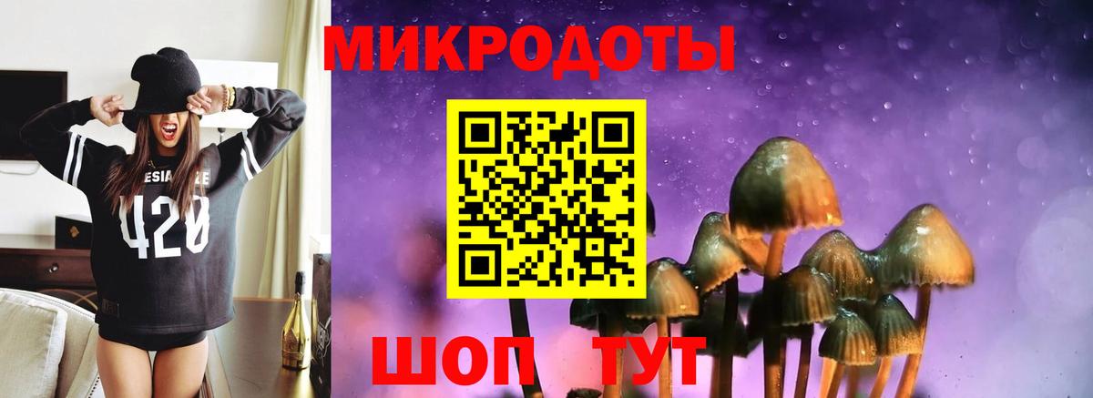 Псилоцибиновые грибы GOLDEN TEACHER  Вход с VPN  Советская Гавань 