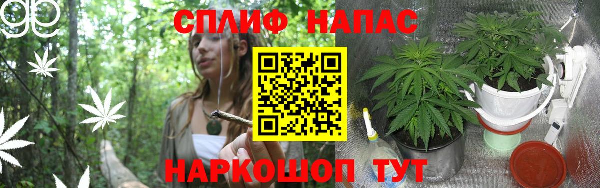 Бошки Шишки ГИДРОПОН Советская Гавань